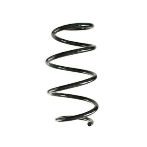 SPIDAN Fahrwerksfeder GKNW10291