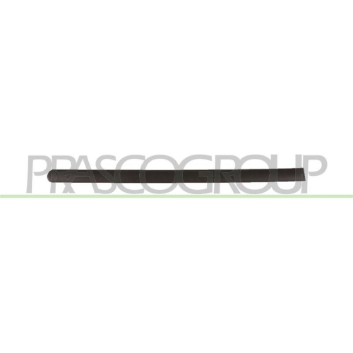 PRASCO Zier-/Schutzleiste, T&uuml;r VG9041453
