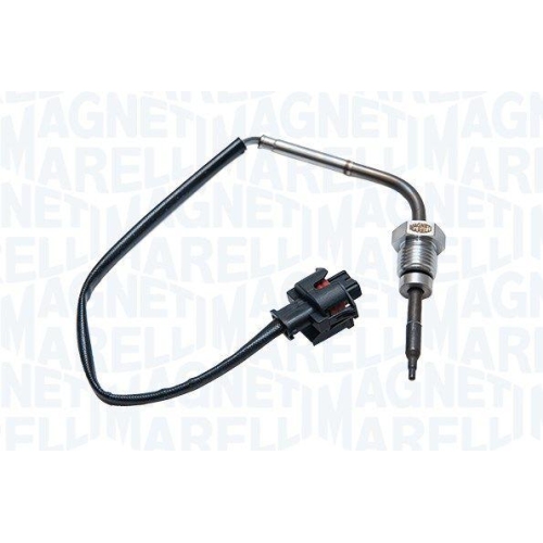 MAGNETI MARELLI Sensor, Abgastemperatur