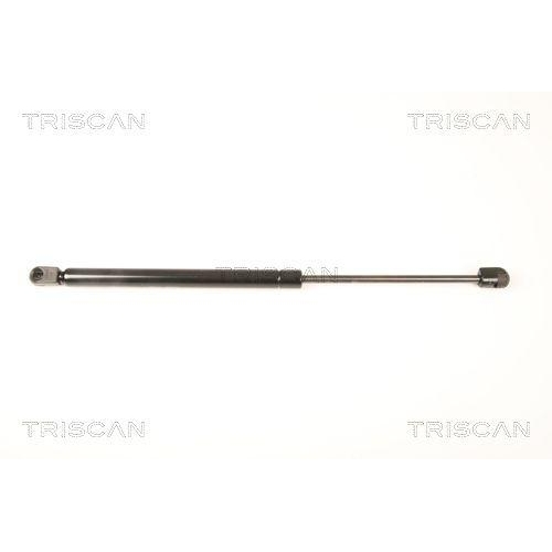 TRISCAN Gasfeder, Heckscheibe 8710 43233
