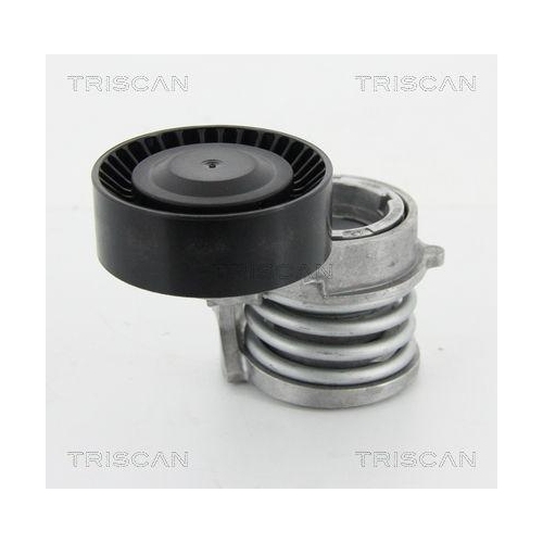 TRISCAN Riemenspanner, Keilrippenriemen 8641 113016