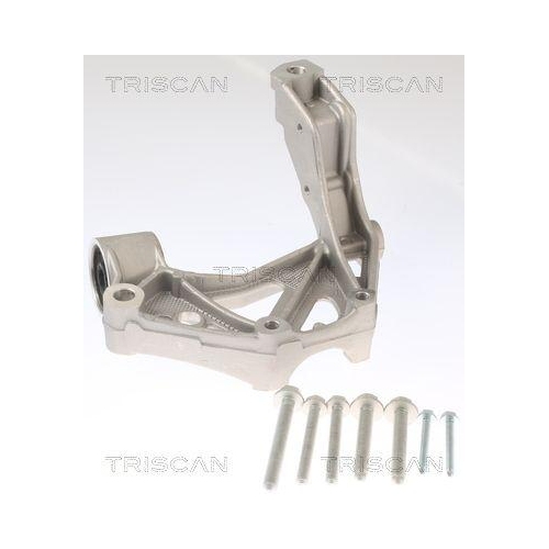 TRISCAN Lagerbock, Achskörper 8500 295262