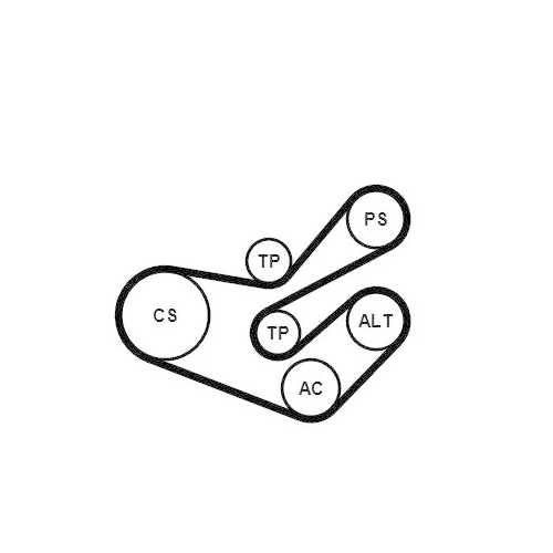 CONTINENTAL CTAM Keilrippenriemensatz 6PK1750K3