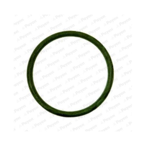PAYEN Dichtung, Ansaugkr&uuml;mmer JD538