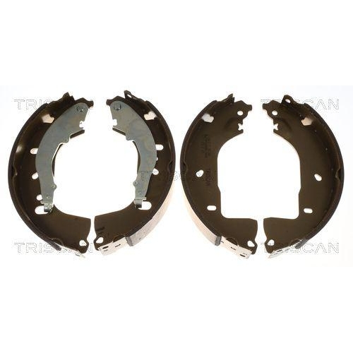 TRISCAN Bremsbackensatz 8100 29007