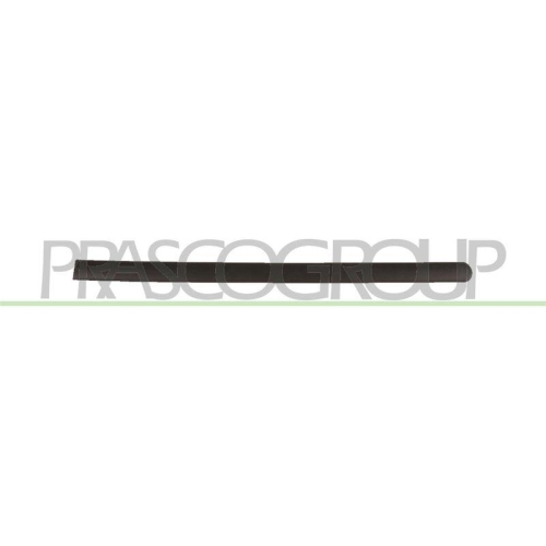 PRASCO Zier-/Schutzleiste, T&uuml;r VG9041454