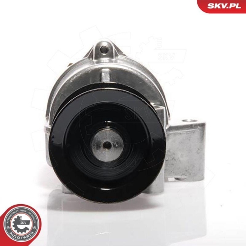ESEN SKV Unterdruckpumpe, Bremsanlage 18SKV002