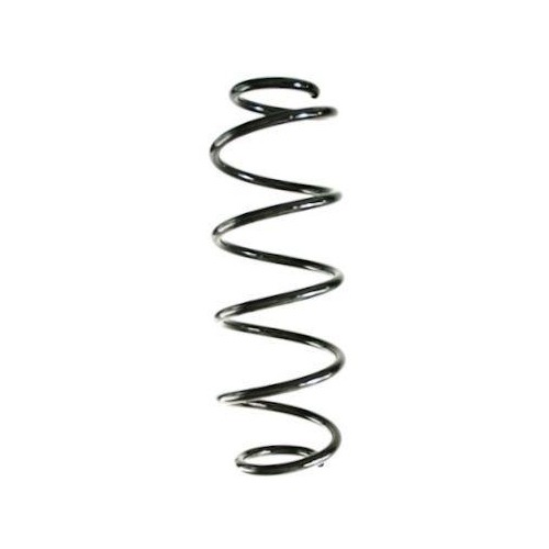 SPIDAN Fahrwerksfeder GKNW10294