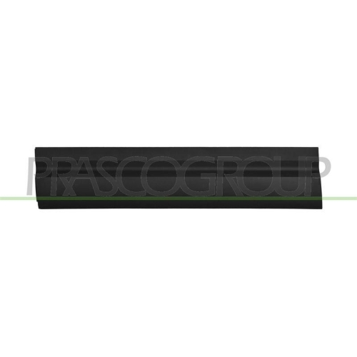PRASCO Zier-/Schutzleiste, T&uuml;r LR1041404