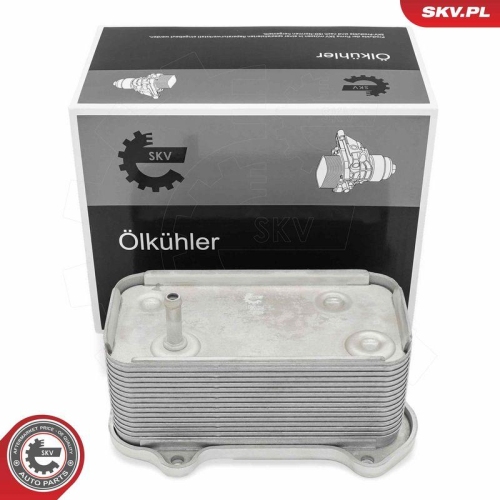 ESEN SKV &Ouml;lk&uuml;hler, Motor&ouml;l 31SKV334
