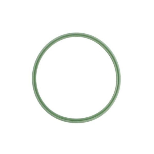 THERMOTEC Dichtring, Ladeluftschlauch DCB105TT