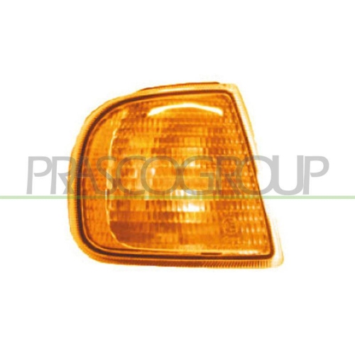 PRASCO Blinkleuchte TYC ST0294103