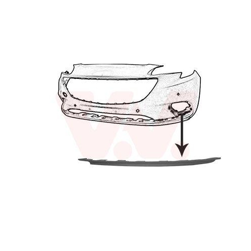 VAN WEZEL Zier-/Schutzleiste, Sto&szlig;f&auml;nger 3804581