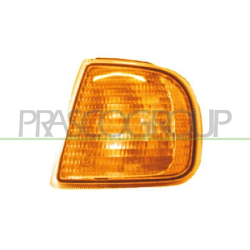 PRASCO Blinkleuchte TYC ST0294104