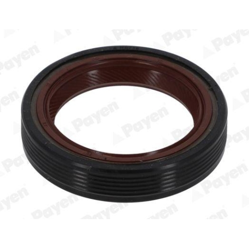 PAYEN Wellendichtring, Kurbelwelle NB716