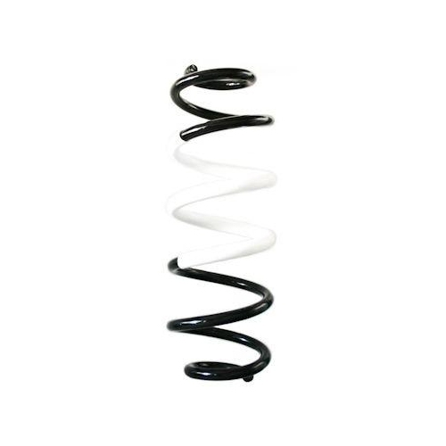 SPIDAN Fahrwerksfeder GKNW10296