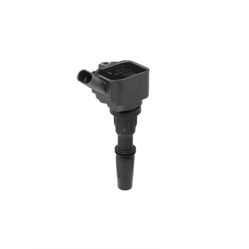 BorgWarner (BERU) Z&uuml;ndspule ZS596