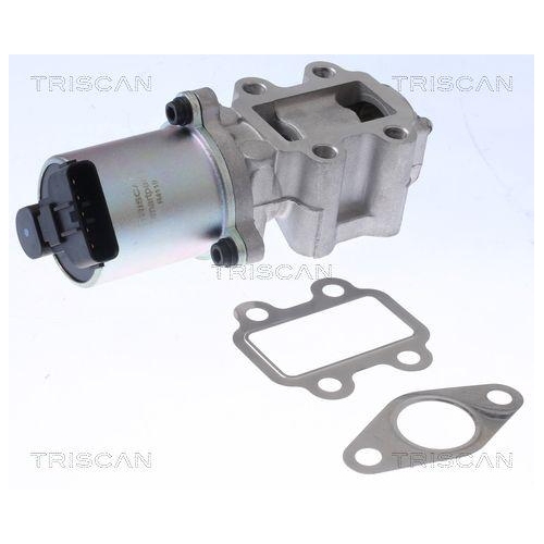 TRISCAN AGR-Ventil 8813 13100