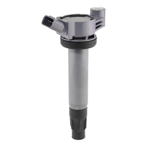 BorgWarner (BERU) Z&uuml;ndspule ZSE309