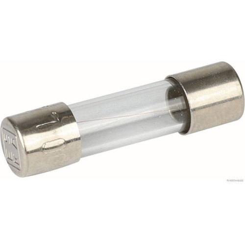 HERTH+BUSS BUSCHiNG Sicherung BU021001004