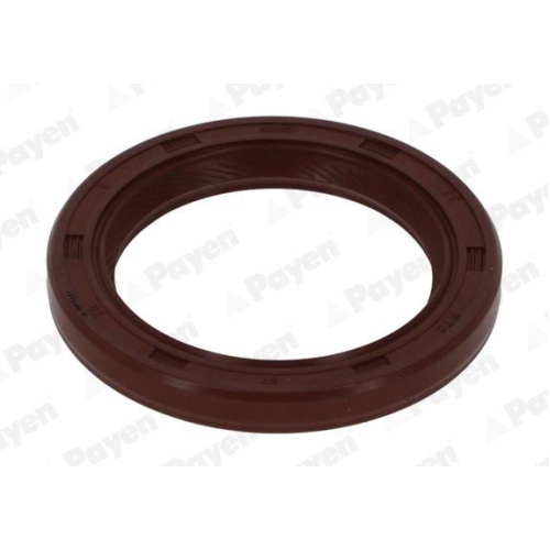 PAYEN Wellendichtring, Kurbelwelle NA5157
