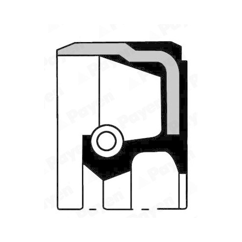 PAYEN Wellendichtring, Kurbelwelle NA5132