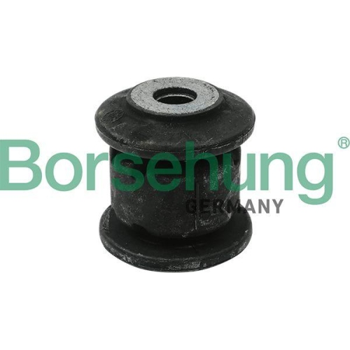 Borsehung Lagerung, Lenker B12229