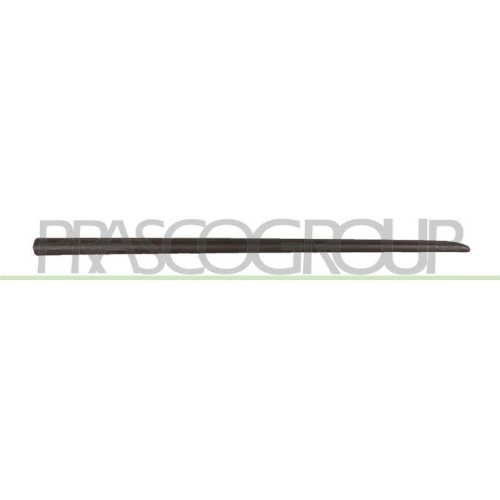 PRASCO Zier-/Schutzleiste, T&uuml;r FT3421403