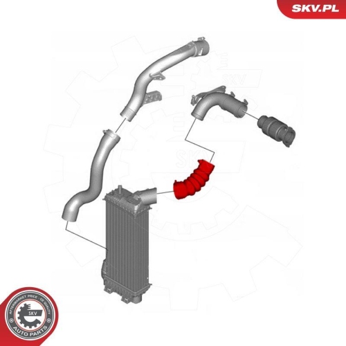 ESEN SKV Ladeluftschlauch 43SKV372