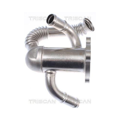TRISCAN K&uuml;hler, Abgasr&uuml;ckf&uuml;hrung 8813 10114