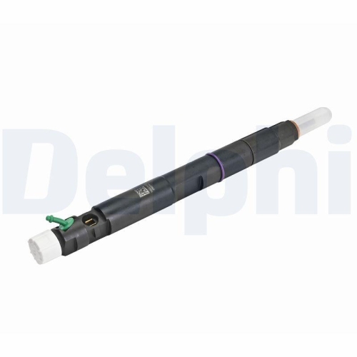 DELPHI Einspritzventil 28270450-12B1