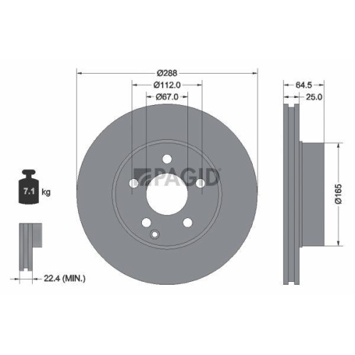 PAGID Bremsscheibe 54596NC