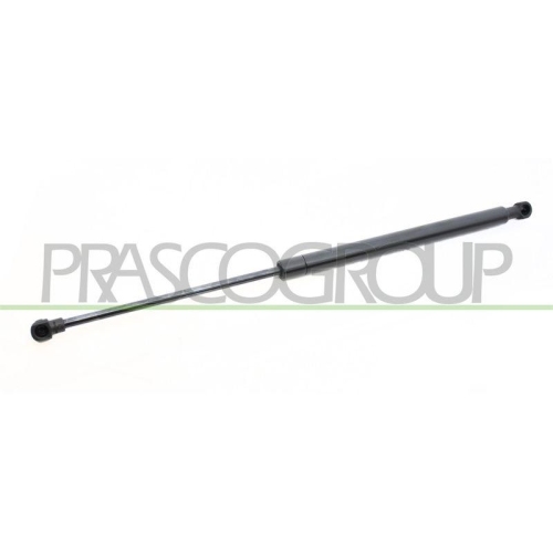 PRASCO Gasfeder, Koffer-/Laderaum PG4209055