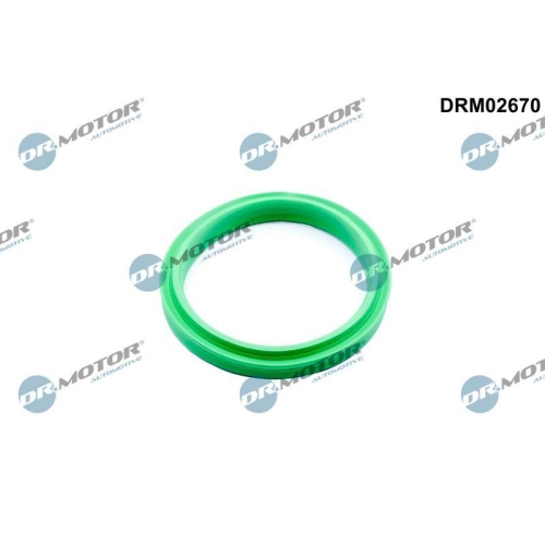 Dr.Motor Automotive Dichtring, Ladeluftschlauch DRM02670