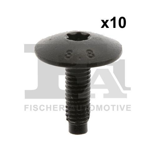 FA1 Schraube 21-70003.10