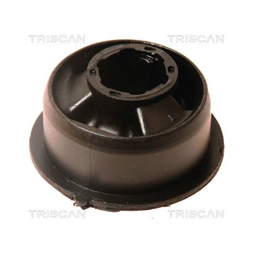 TRISCAN Lagerung, Lenker 8500 27831