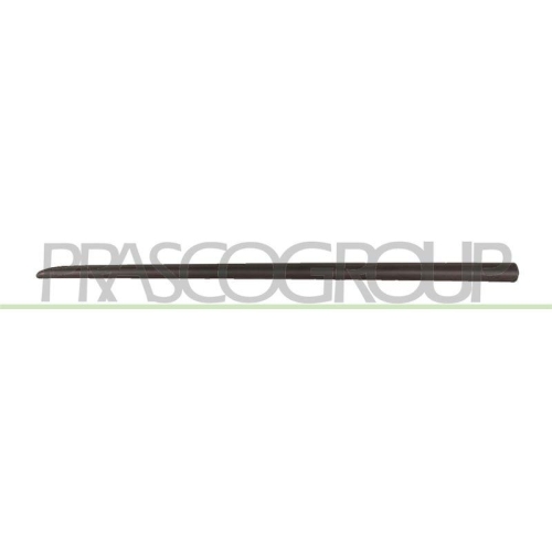 PRASCO Zier-/Schutzleiste, T&uuml;r FT3421404