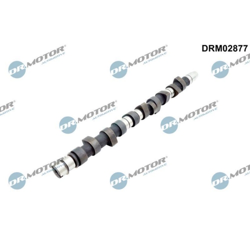Dr.Motor Automotive Nockenwelle DRM02877