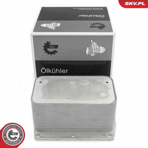 ESEN SKV &Ouml;lk&uuml;hler, Motor&ouml;l 31SKV344