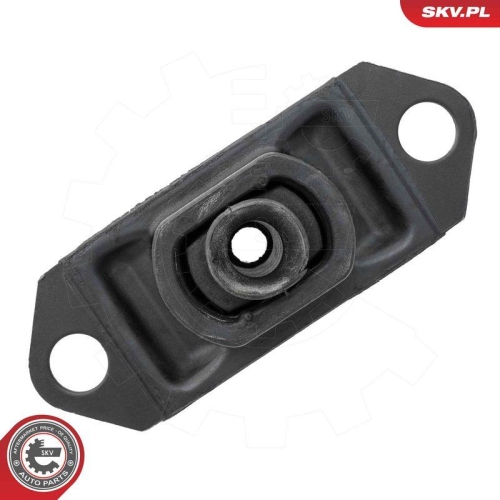 ESEN SKV Lagerung, Motor 75SKV065
