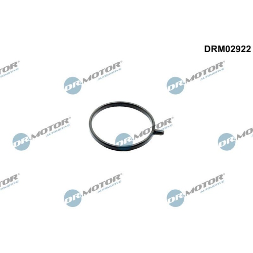Dr.Motor Automotive Dichtring, Lader DRM02922