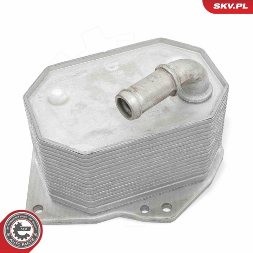 ESEN SKV &Ouml;lk&uuml;hler, Motor&ouml;l 31SKV348