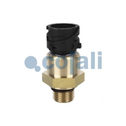 COJALI Sensor, &Ouml;ldruck 2260264