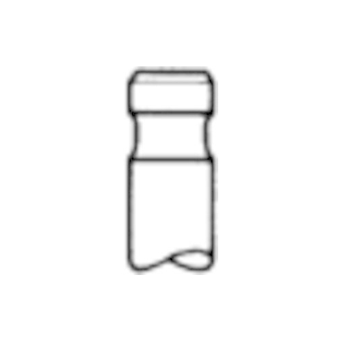 TRW Engine Component Auslassventil 25250
