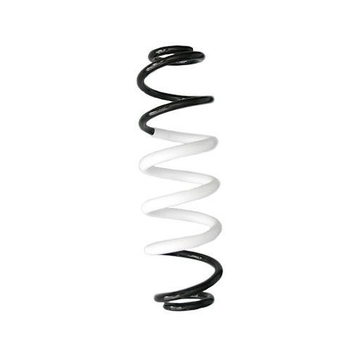 SPIDAN Fahrwerksfeder GKNW10304