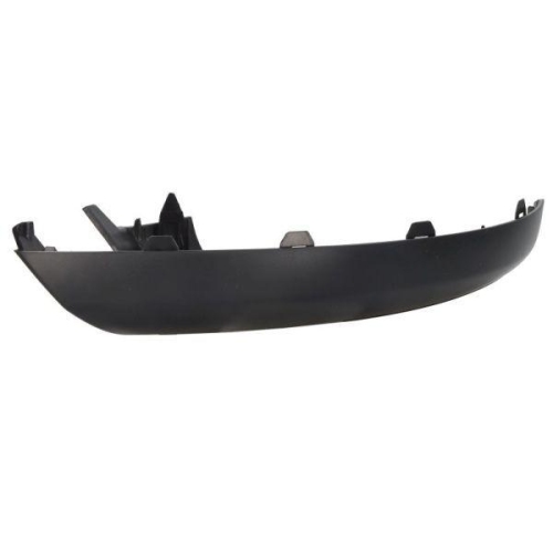 BLIC Abdeckung, Außenspiegel 5402-04-1623318P