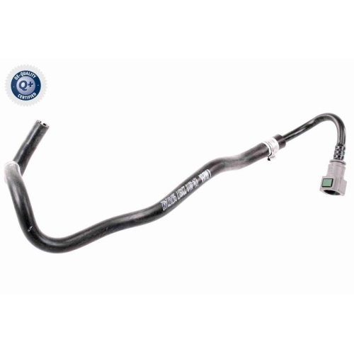 VAICO K&uuml;hlerschlauch Q+, Erstausr&uuml;sterqualit&auml;t V24-0810