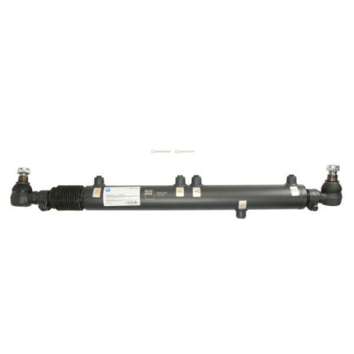 REINHOCH Arbeitszylinder, Servolenkung RH59-3002