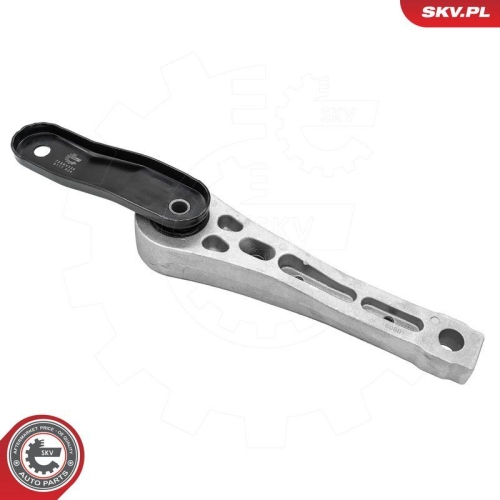 ESEN SKV Lagerung, Motor 75SKV334