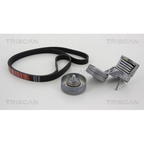 TRISCAN Keilrippenriemensatz 8642 29009